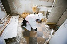 Asbestos Testing Essentials: Ensuring Safety in Your Environment post thumbnail image